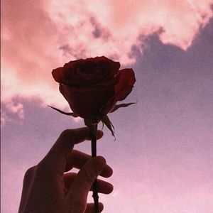 Meet your Posher, Margot